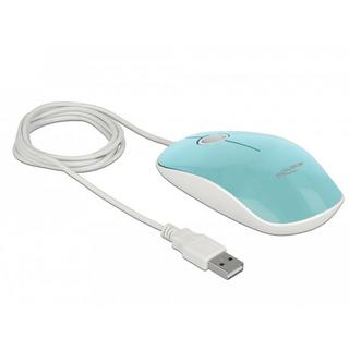 DeLock  12538 mouse Ambidestro USB tipo A Ottico 1200 DPI 