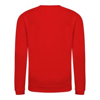 AWDis  Nur Hauben Plain Sweatshirt mit Rundhalsausschnitt 