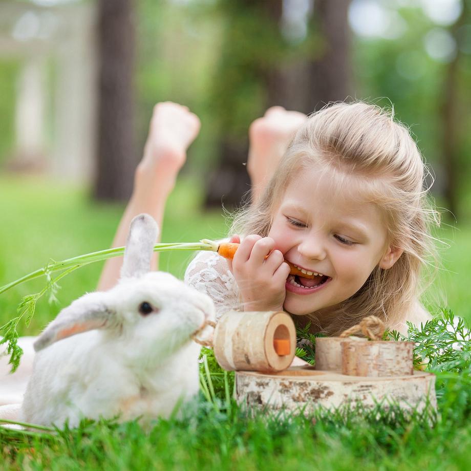 B2X  Jouet lapin en 2 pièces 