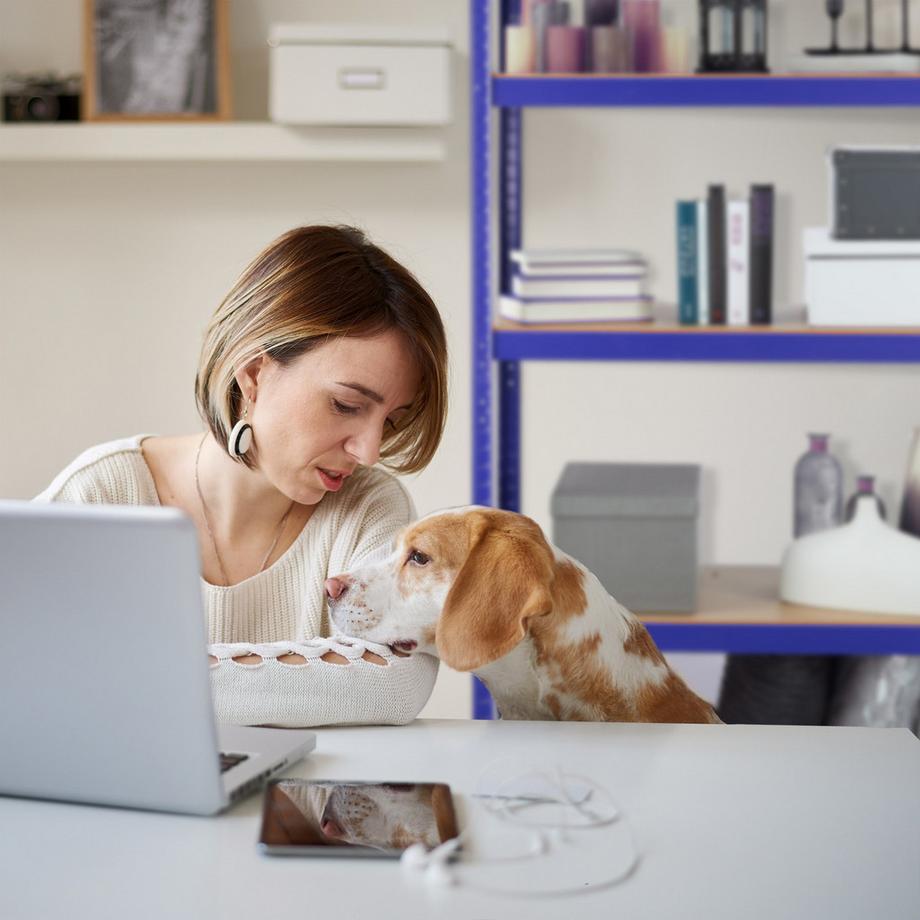 B2X Mensola portaoggetti blu  