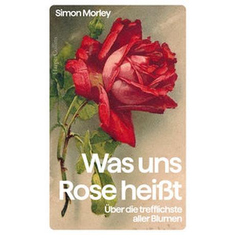 »Was uns Rose heißt«. Über die trefflichste aller Blumen Morley, Simon; Schlatterer, Heike (Übersetzung) Gebundene Ausgabe 