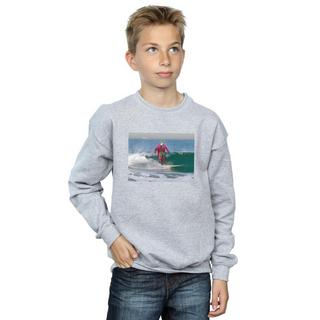 DC COMICS  Sweatshirt 