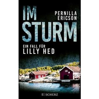 Im Sturm Ericson, Pernilla; Buchinger, Friederike (Übersetzung) Gebundene Ausgabe 