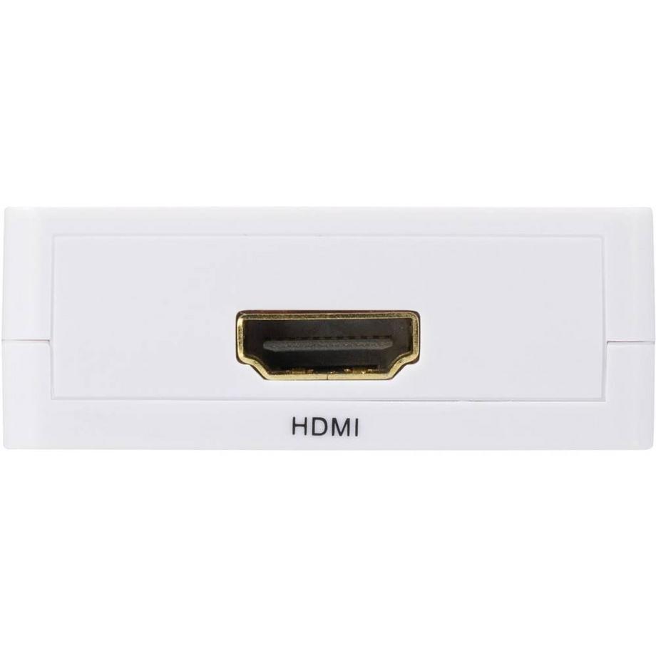 SpeaKa Professional  Composite auf HDMI 