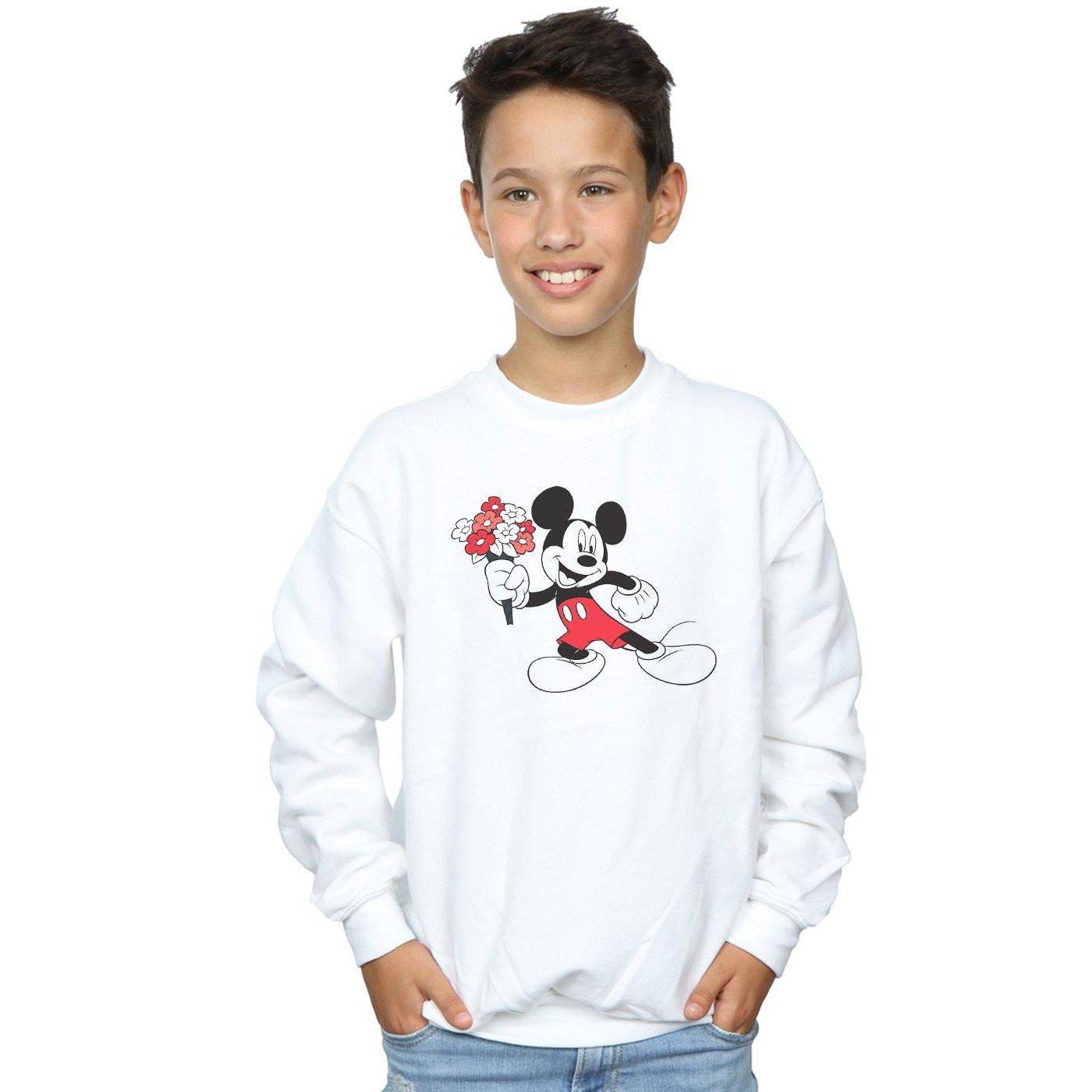 Disney  Sweatshirt 