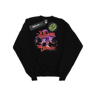 DC COMICS  Sweatshirt 