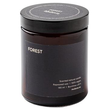 Natürliche Duftkerze Forest