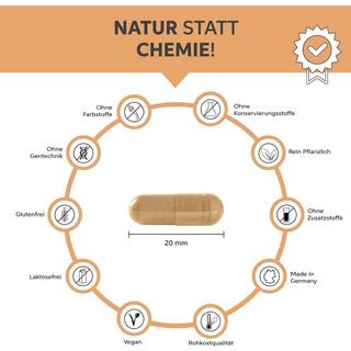 Eltabia  Gélules d'acérola bio 