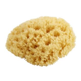 diaqua Éponge nature  