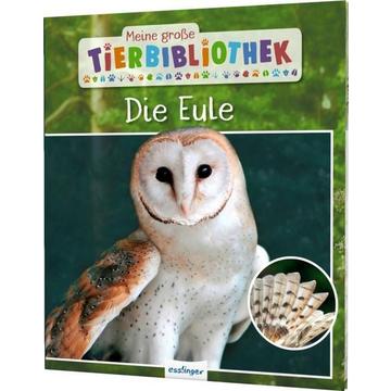 Meine große Tierbibliothek: Die Eule