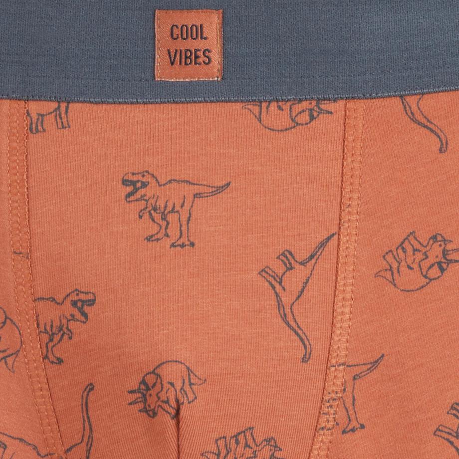 La Redoute Collections  Lot de 5 boxers 