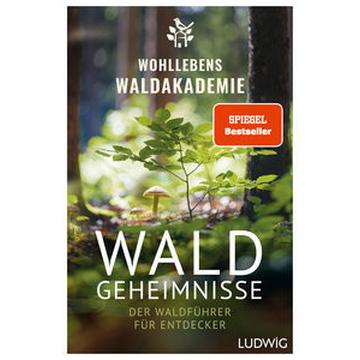 Waldgeheimnisse