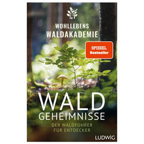 Waldgeheimnisse Wohllebens Waldakademie Couverture rigide 