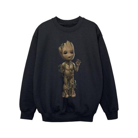 MARVEL  I Am Groot Sweatshirt 