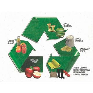 Tru Virtu Click & Slide Vegan Bio Apple Portefeuille Brun Argent  