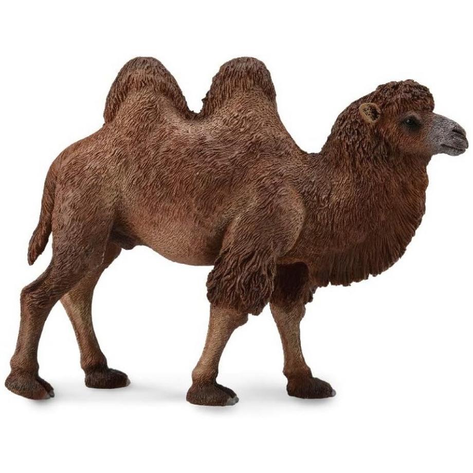 CollectA  Wild Life Trampeltier 