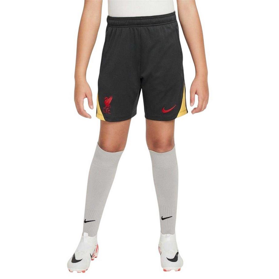 NIKE  Strike Shorts 
