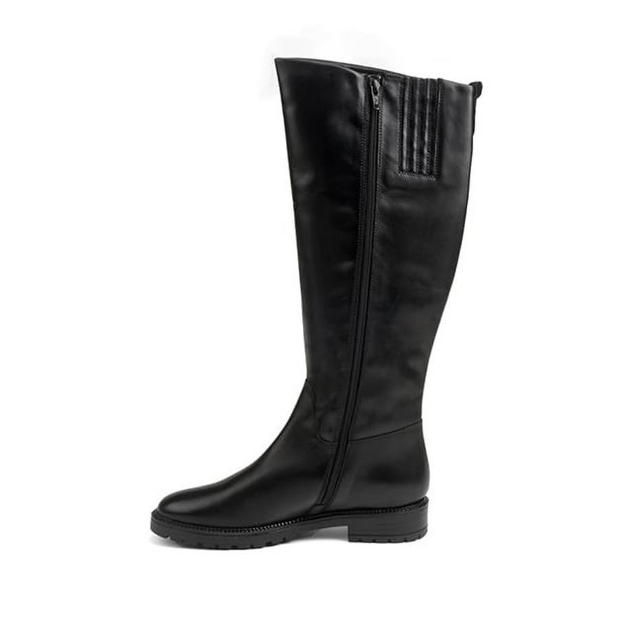 Ralph Harrison  2BODY304L-35 