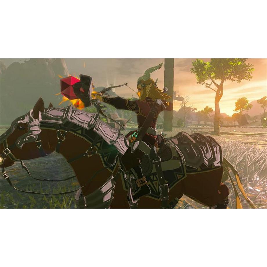 Nintendo  The Legend of Zelda: Tears of the Kingdom - Collector's Edition 