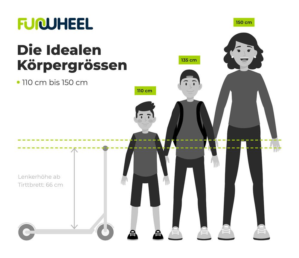 Motion Scooter  Freestyle Rookie Pro 