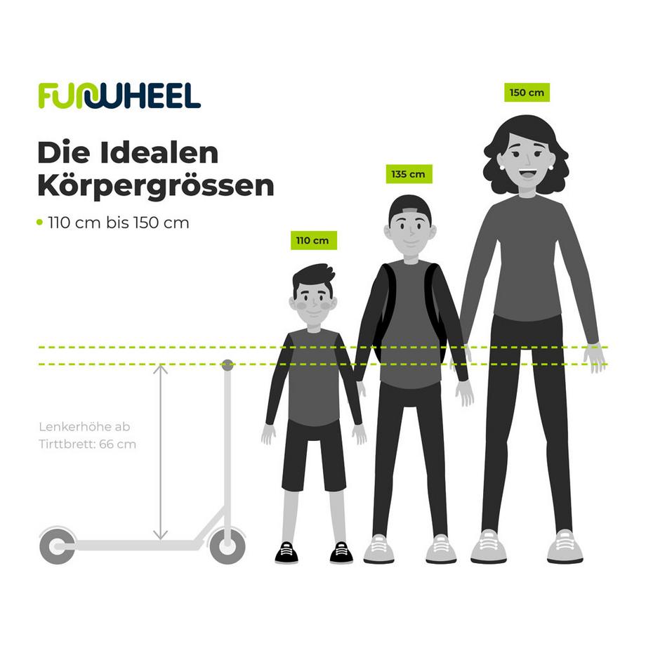 Motion Scooter  Freestyle Rookie Pro 