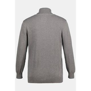 JP1880  Rollkragenpullover, Strick 