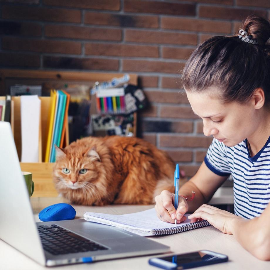 B2X Range-revues A4 en bambou avec 3 compartiments  