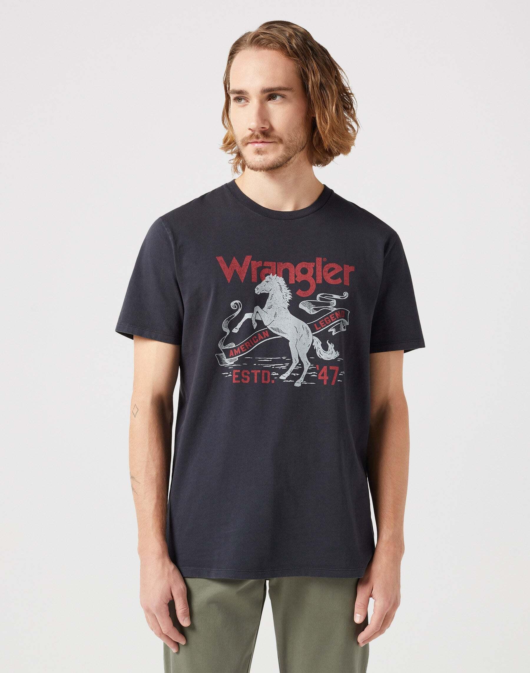 Image of T-shirts Americana Tee Herren Taubengrau S