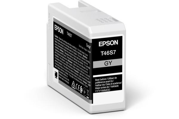 EPSON  UltraChrome Pro cartuccia d'inchiostro 1 pz Originale Grigio 