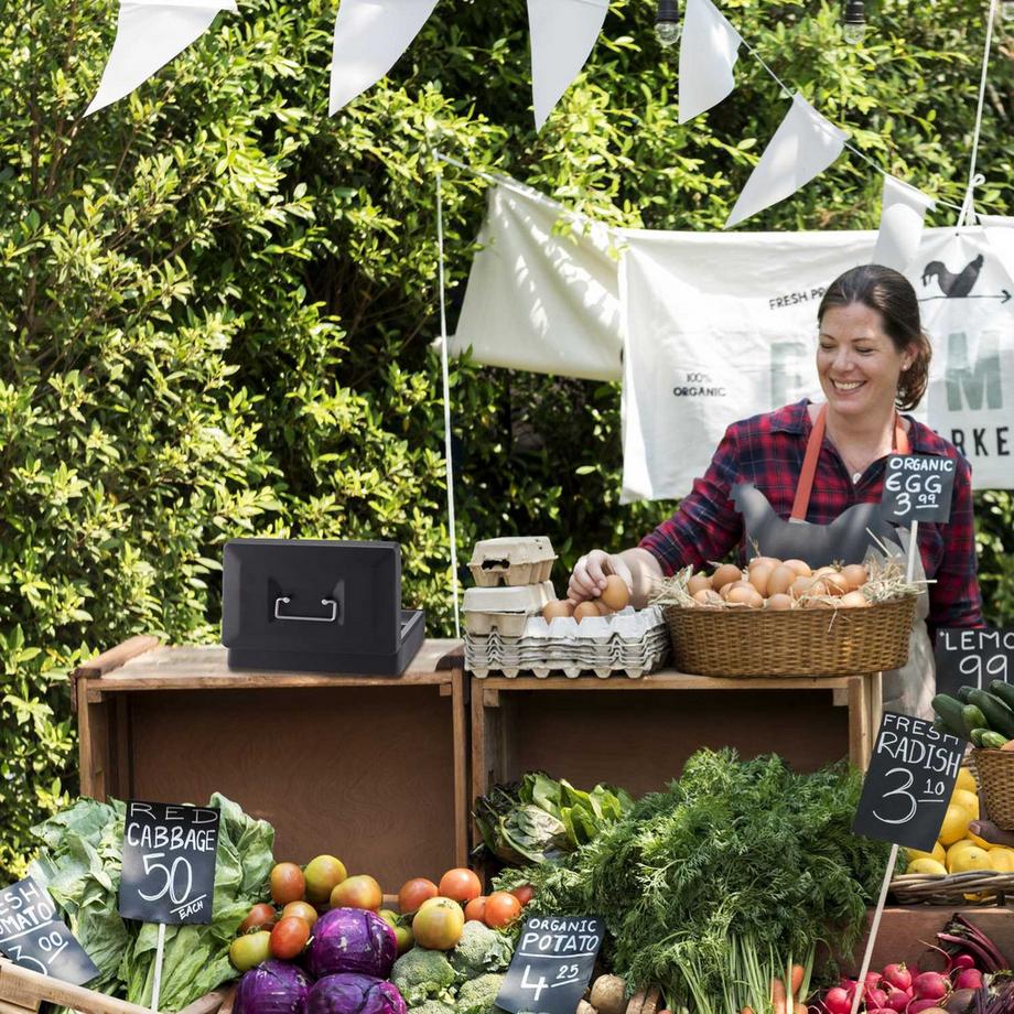 B2X  Geldkassette mit 2 Schlüsseln 