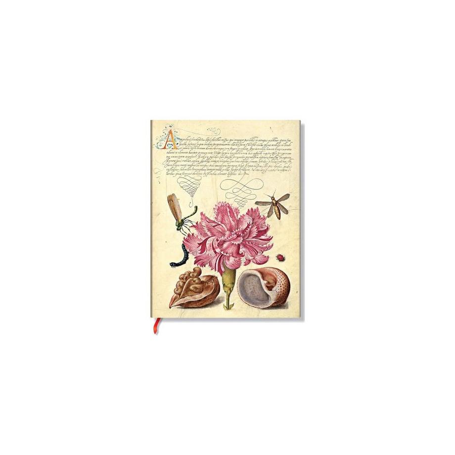 Carnet  Œillet