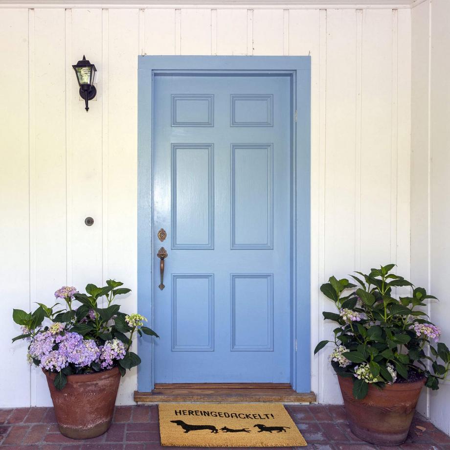 B2X Fußmatte aus Kokos Hereingedackelt  