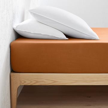 Drap housse jersey coton