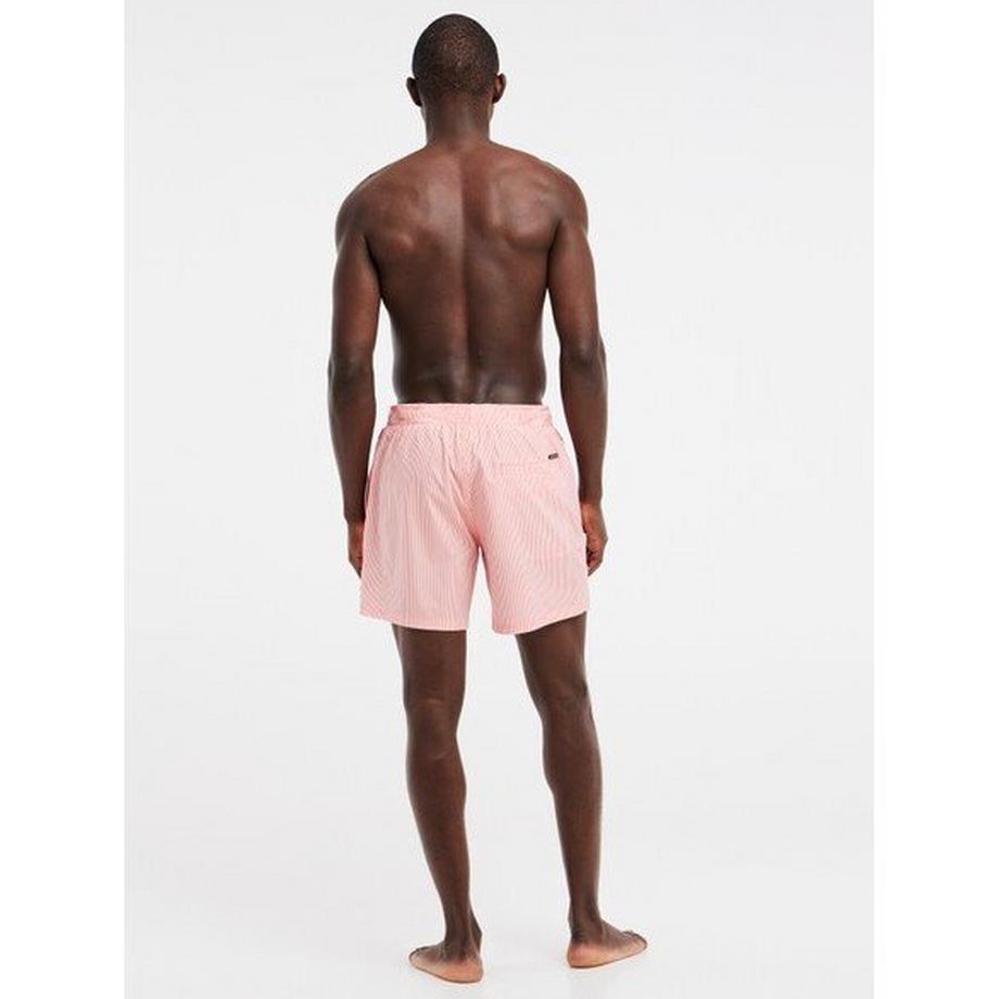 PROTEST Prtmanama Gestreifte Strandshorts  
