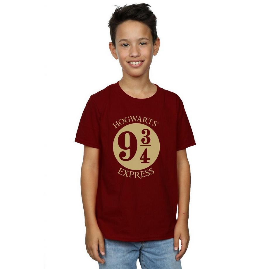 Harry Potter  Platform Nine and Three Quarters TShirt 