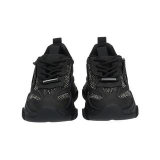 STEVE MADDEN  Sneaker Possesionr  SM11002270 