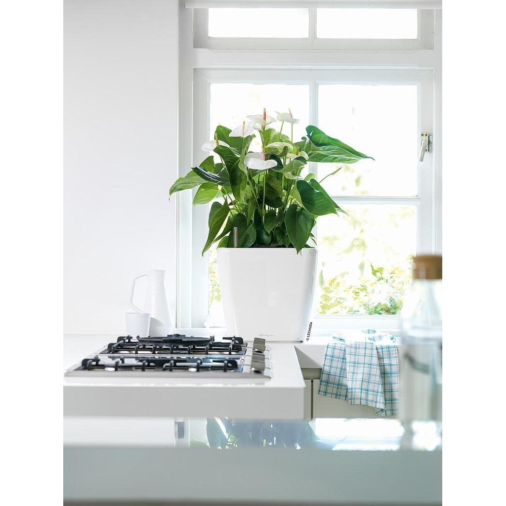 Lechuza fioriera Plastica  