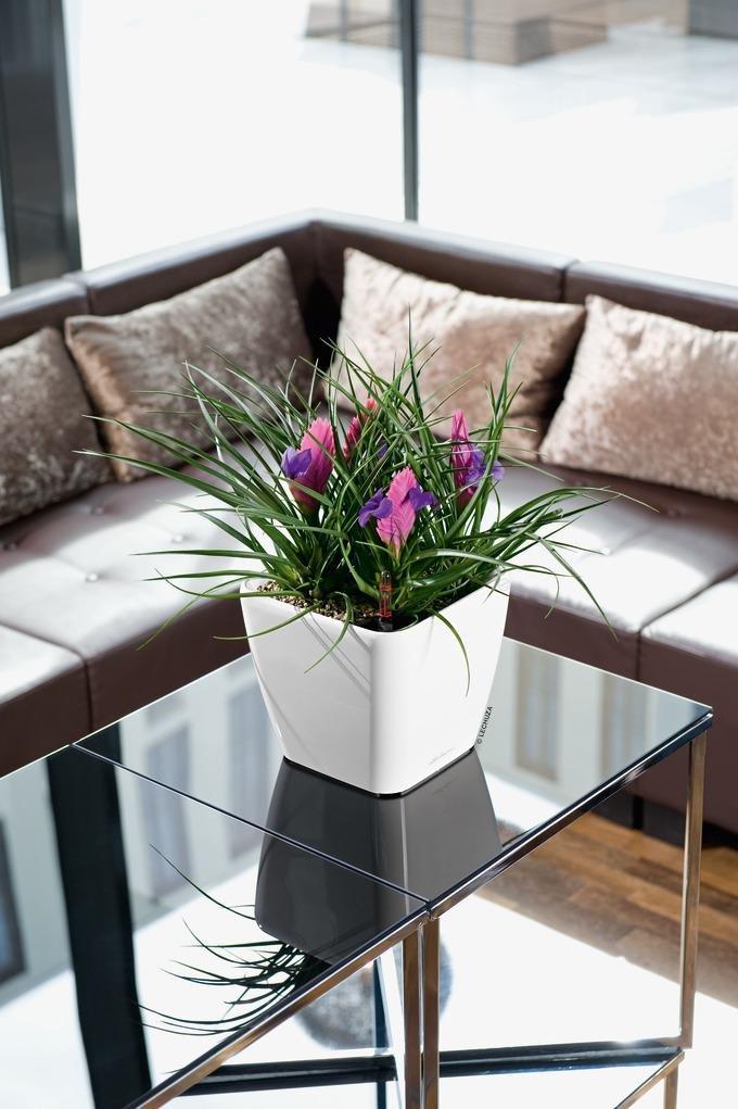 Lechuza fioriera Plastica  