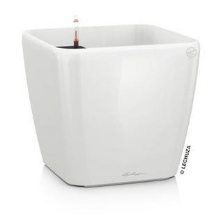 Lechuza fioriera Plastica  