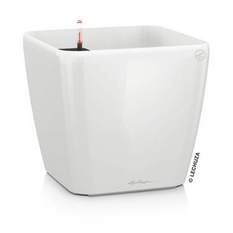 Lechuza fioriera Plastica  