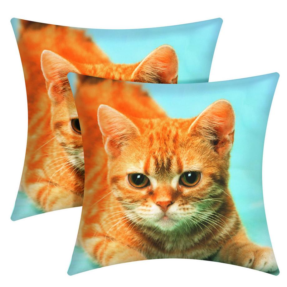 Avizar Lot 2 Housses de Coussin Chat Jaune  