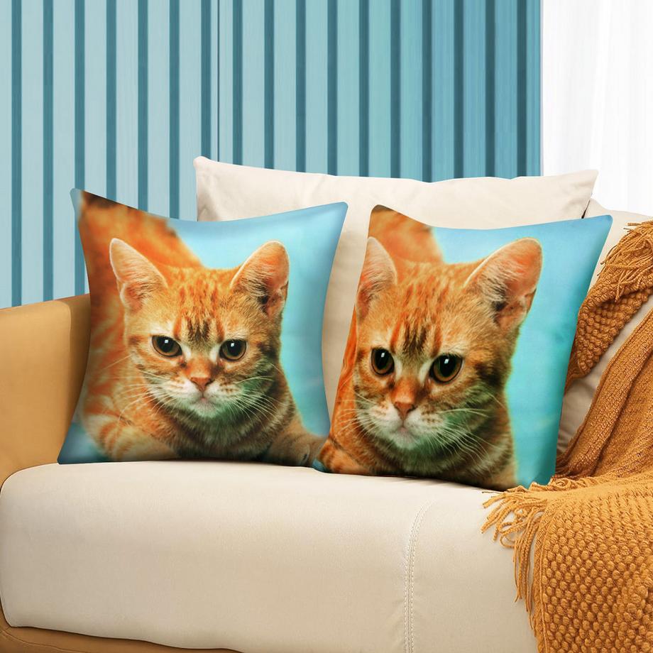 Avizar Lot 2 Housses de Coussin Chat Jaune  