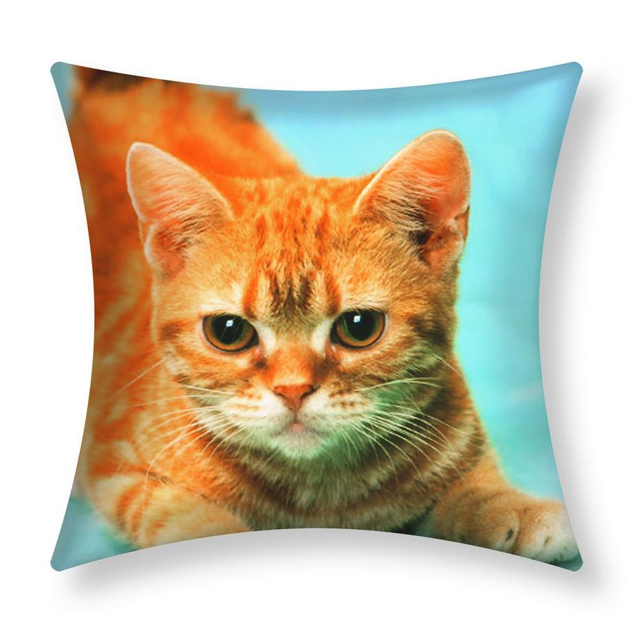 Avizar Lot 2 Housses de Coussin Chat Jaune  