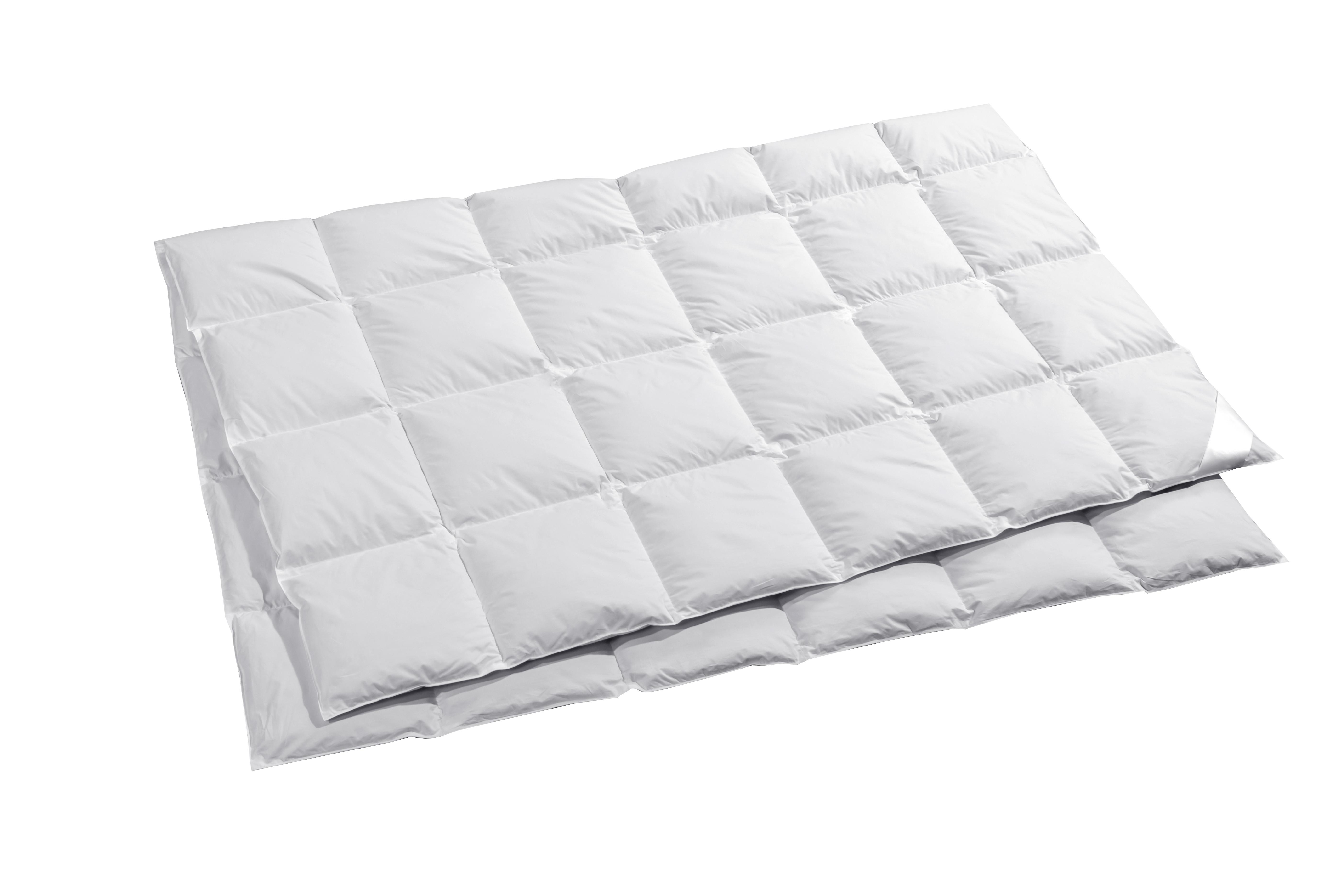 billerbeck Duvet Eider Cassettino  