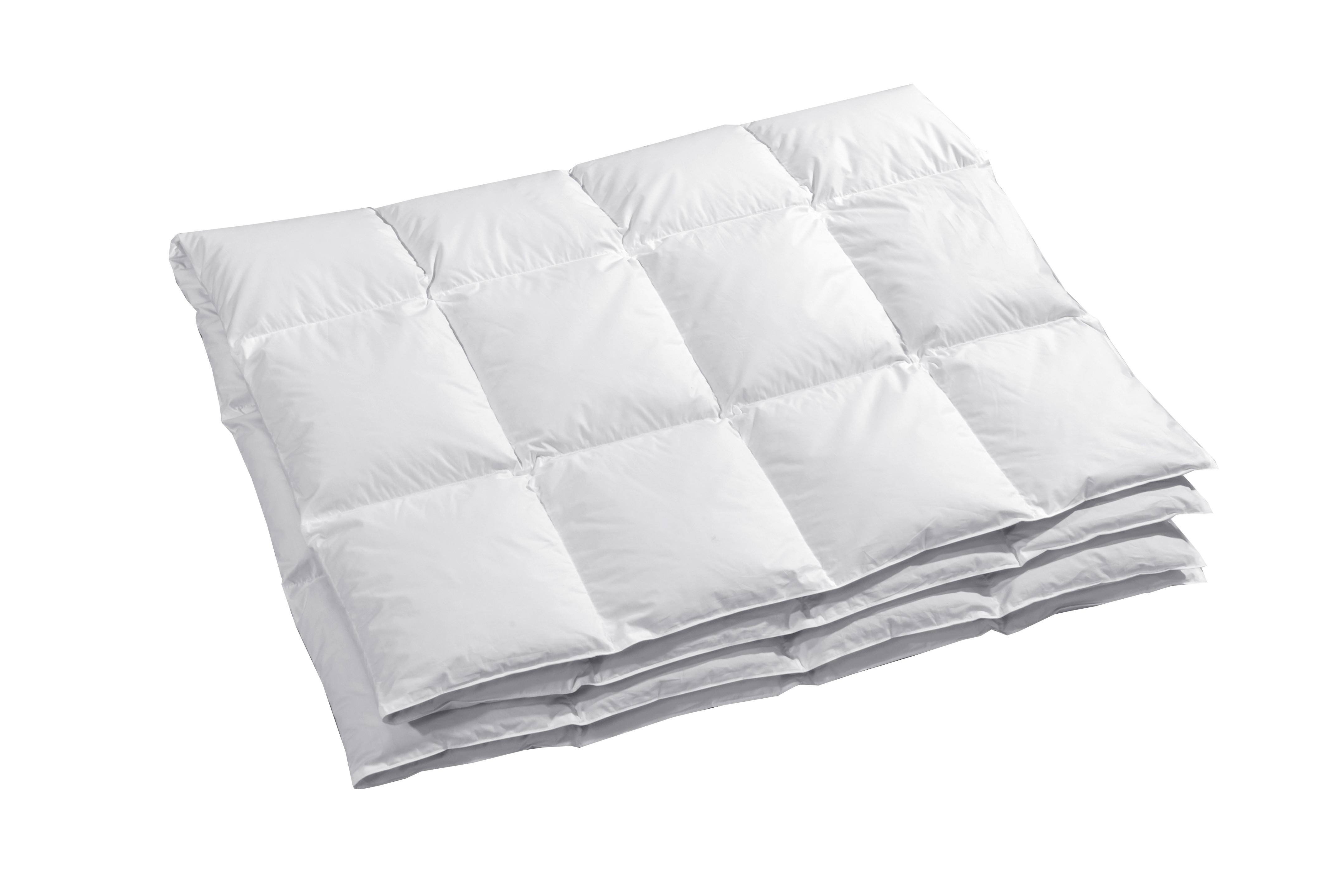 billerbeck Duvet Eider Cassettino  