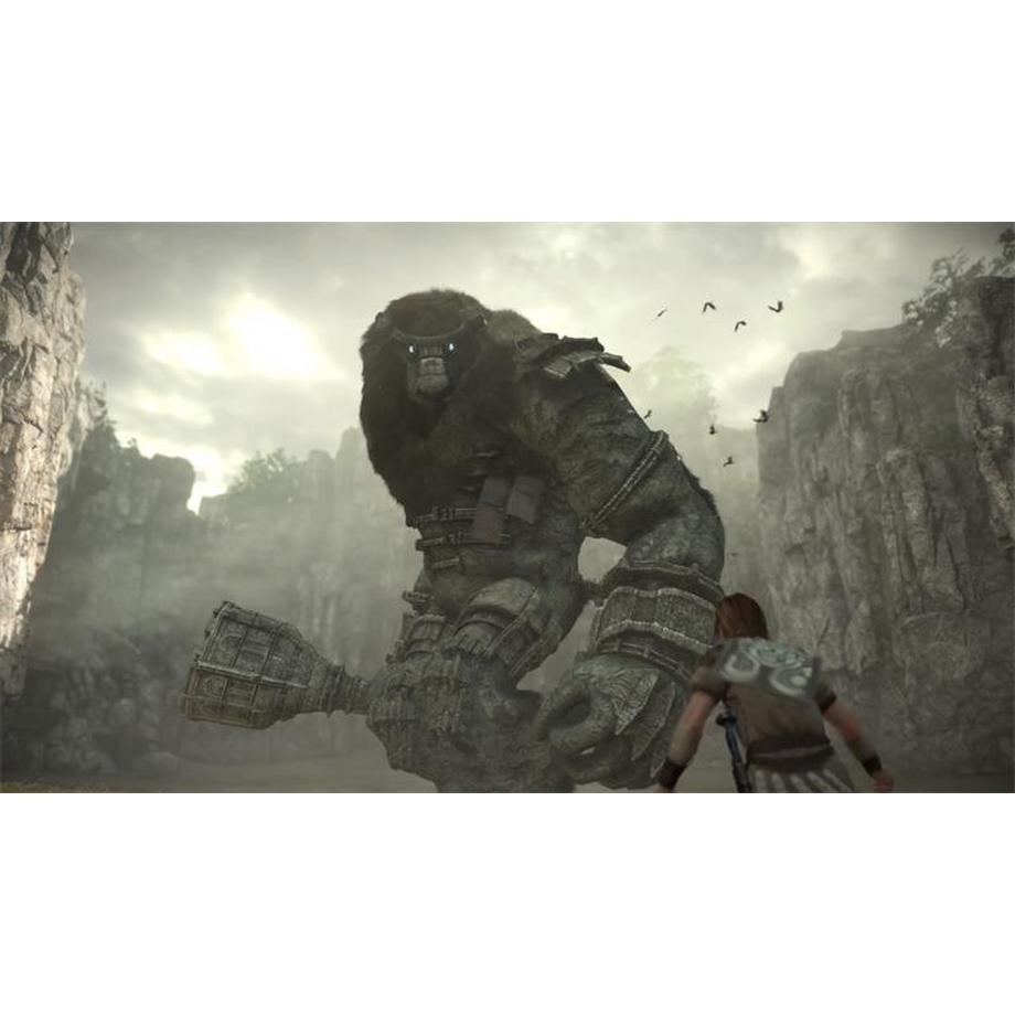 SONY  Shadow of the Colossus 