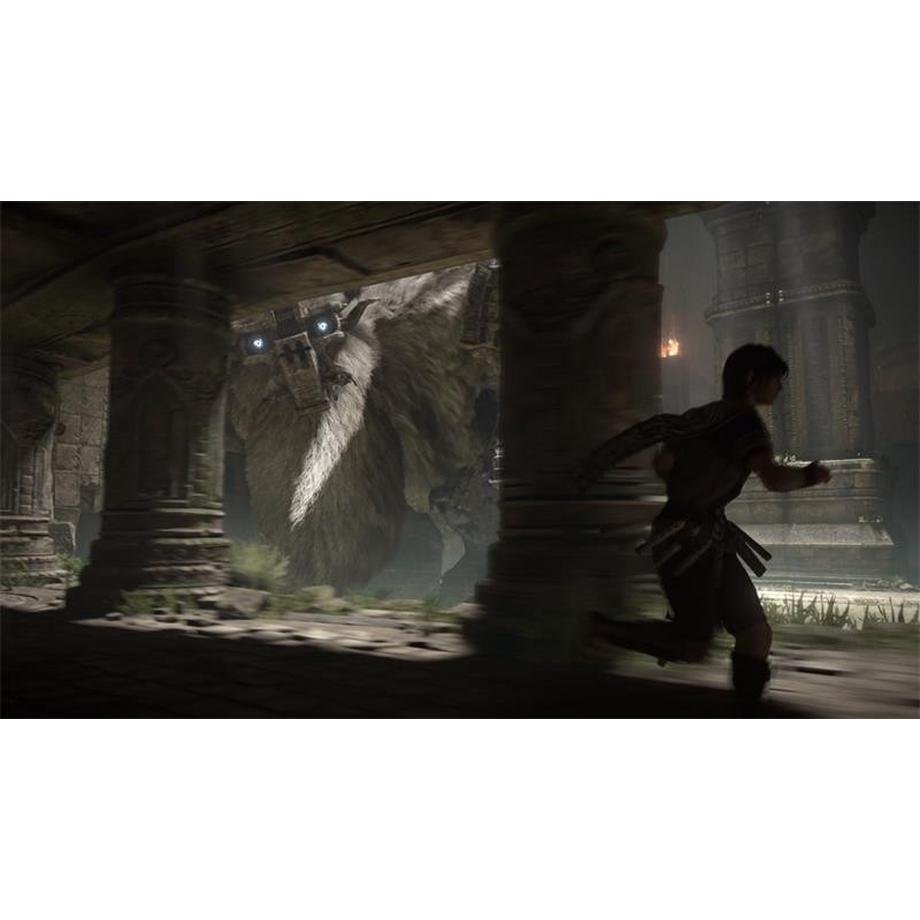 SONY  Shadow of the Colossus 