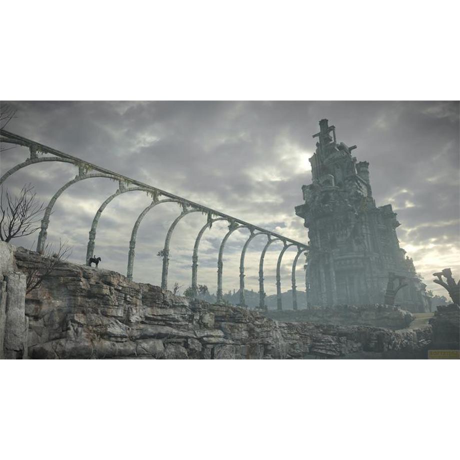 SONY  Shadow of the Colossus 