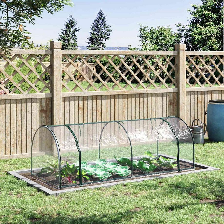 Northio Serra Con Porta, Telaio Freddo, Coltivazione Di Piante, Acciaio Pvc, 250X100X80 Cm  