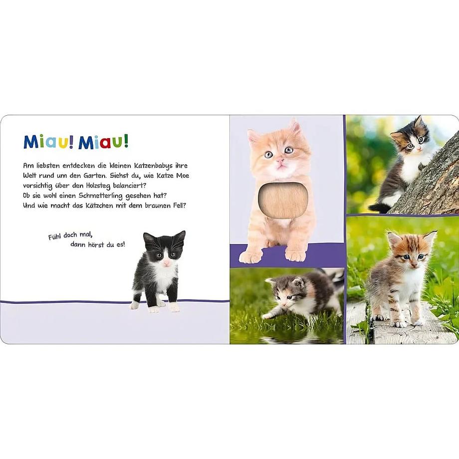 Hör mal rein, wer kann das sein? - Tierkinder im Frühling Kein Autor Couverture rigide 